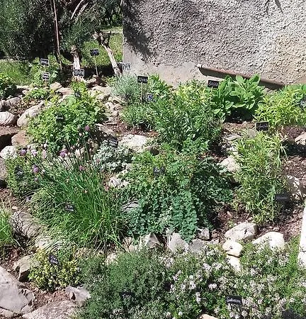 Angolo Aromatico شقة *