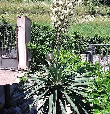 Angolo Aromatico