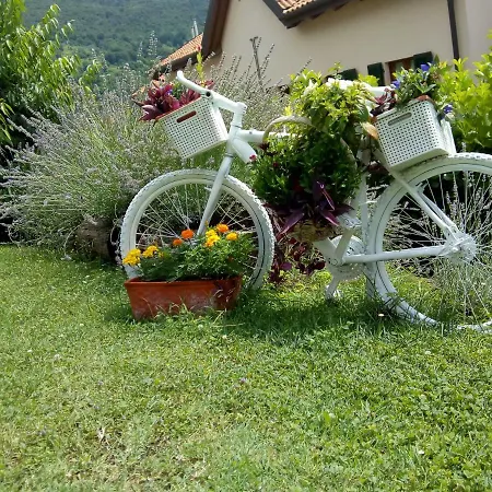 Angolo Aromatico شقة مانديلو ديل لاريو