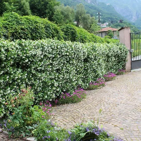Angolo Aromatico شقة