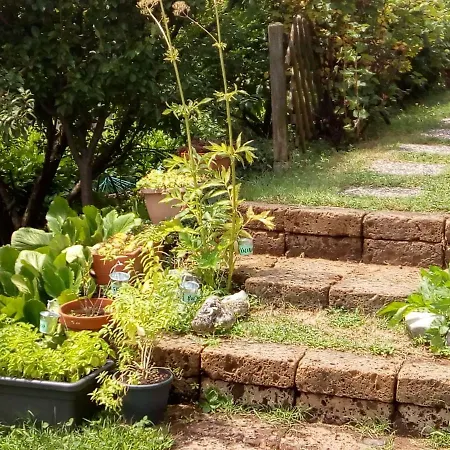 شقة Angolo Aromatico مانديلو ديل لاريو